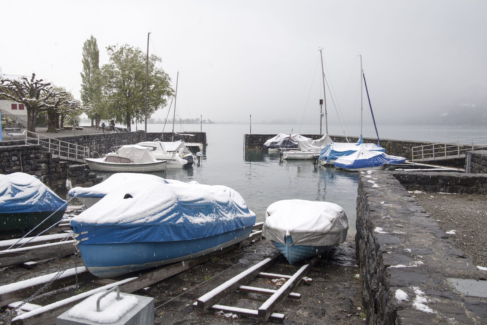 brienz-in-junfrau-region-berner-oberland-switzerla-2026-01-09-13-44-18-utc (1)